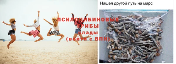 прущая мука Володарск
