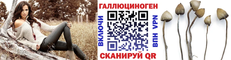Галлюциногенные грибы мицелий  hydra зеркало  Ленинск 